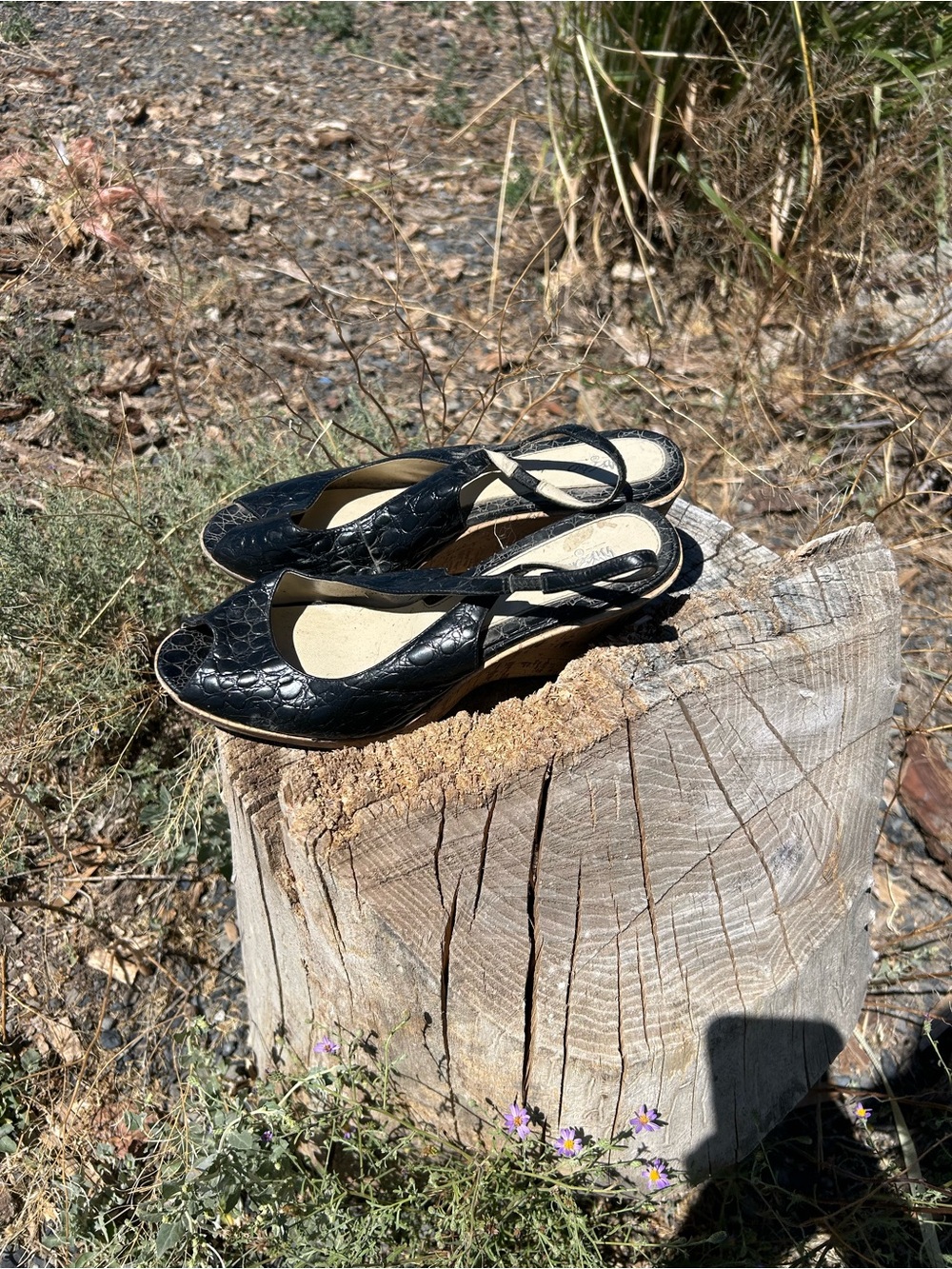 Black Croc-Embossed Slingback Wedge Mules